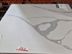 BOXES - EDEN STATUARY 24X24 MATTE PORCELAIN TILE (16 SQFT/BOX)