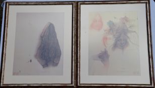 Bruni, Bruno: Satz v. 12 Farbseriegrafien in versilberter Galerierahmung