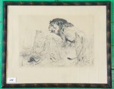 Kuhnert, Wilhelm (Kreis)