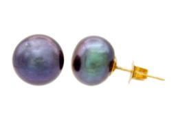 A pair of 9ct oblate spheroid cultured black pearl stud earrings.