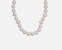 A cultured white pearl necklace with silver lobster claw clasp.