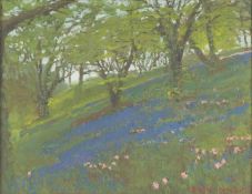 Barrie BRISCOE (1936-2010) Bluebells at Lamorna (1981)