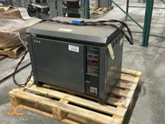 (1) 48 Volt Charger | GNB