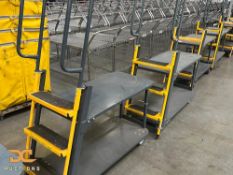 (8) Order Picker Safety Ladders