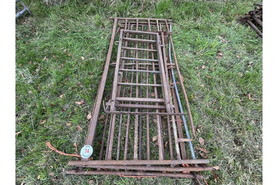 Heap of steel sheep Hurdles & race Gates