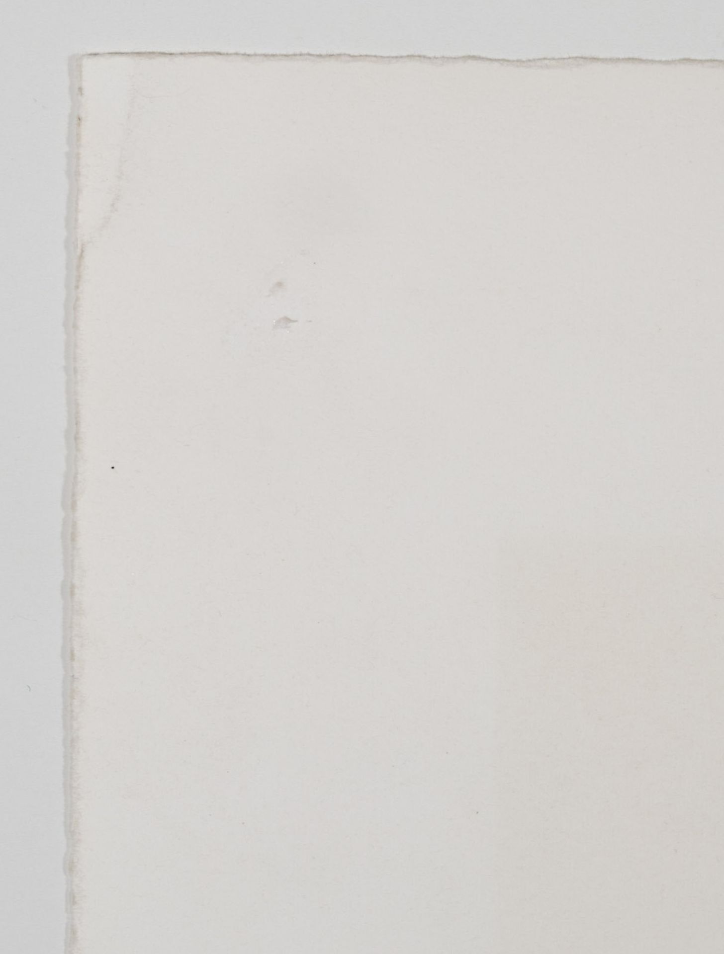 Helnwein, Gottfried - Bild 7 aus 7