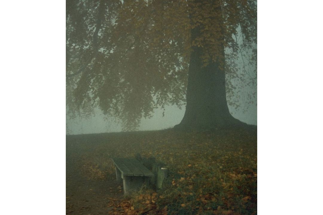 Bergemann, Sibylle - Bild 3 aus 5