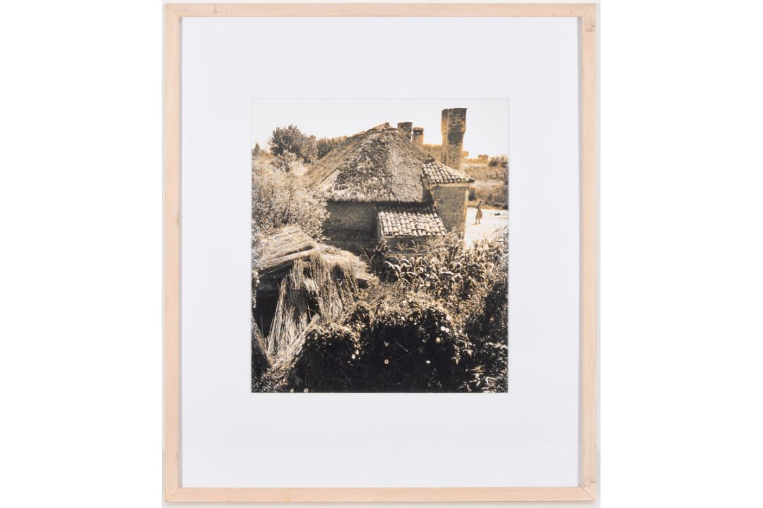 Donzelli, Pietro - Bild 2 aus 5