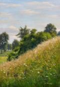 Franke, Hanny
