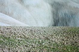 Fontana, Franco