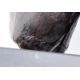 Bronze Arno Breker: "Torso der Siegerin", 2. Hälfte 20. Jh. - Bild 6 aus 6
