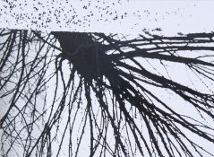 Giacomelli/Mario