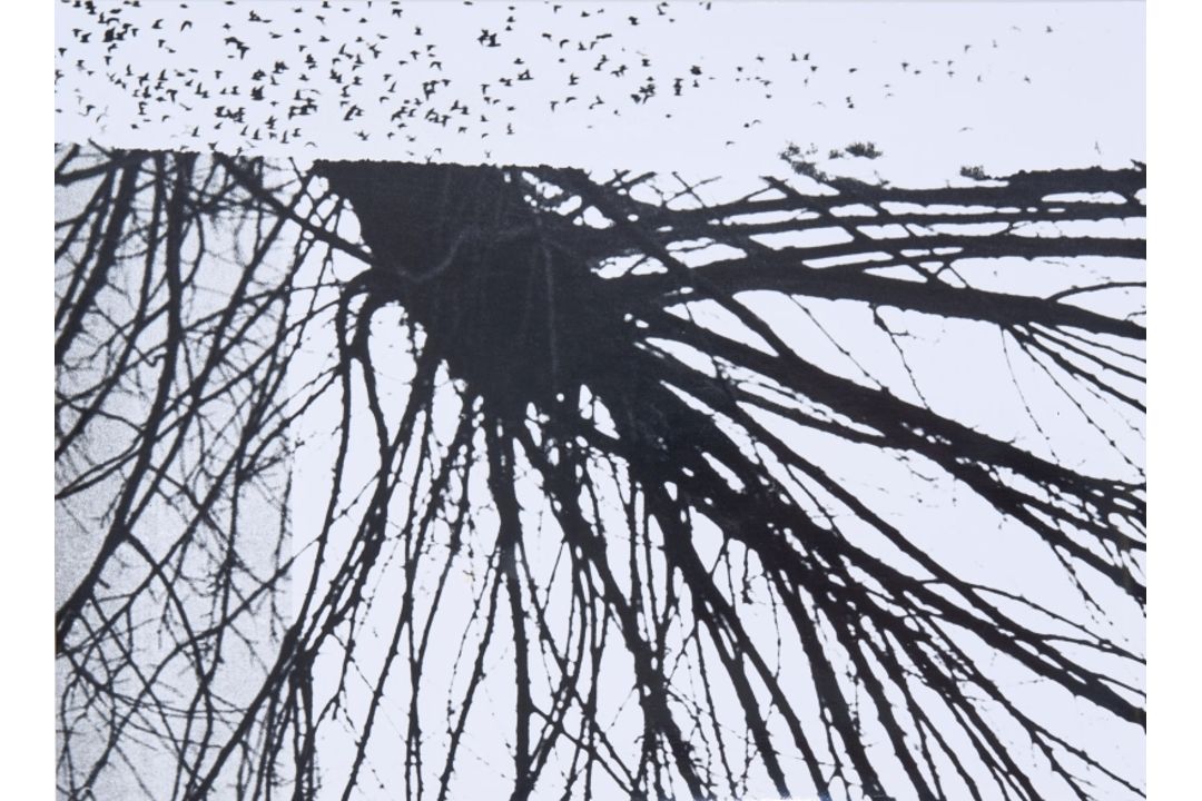 Giacomelli/Mario - Bild 1 aus 4