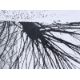 Giacomelli/Mario - Bild 1 aus 4