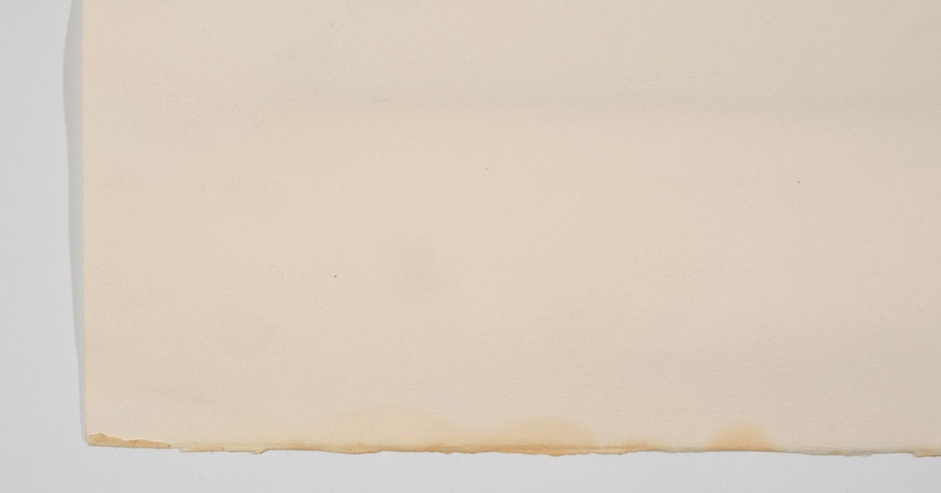Helnwein, Gottfried - Bild 7 aus 7