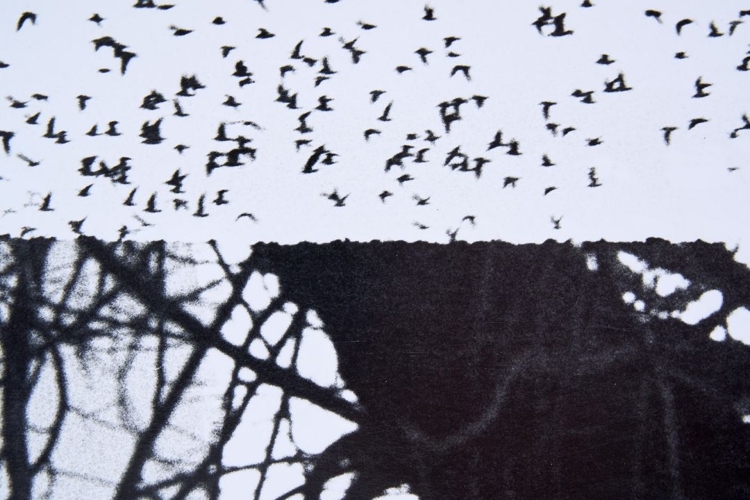Giacomelli/Mario - Bild 2 aus 4