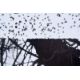Giacomelli/Mario - Bild 2 aus 4