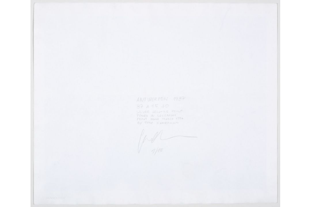 Basilico, Gabriele - Bild 3 aus 4