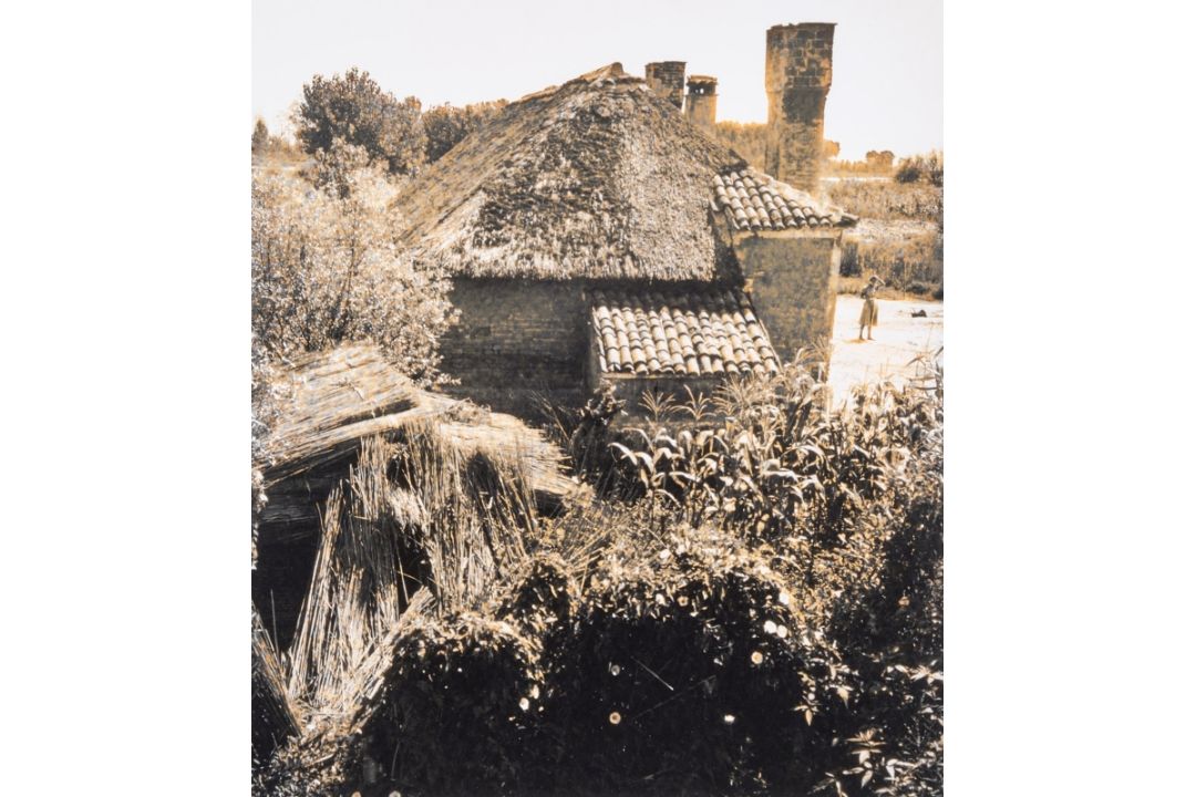 Donzelli, Pietro - Bild 1 aus 5