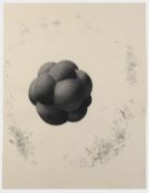 Jeff Colson