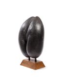 Y A LARGE COCO DE MER NUT (LODOICEA MALDIVICA)