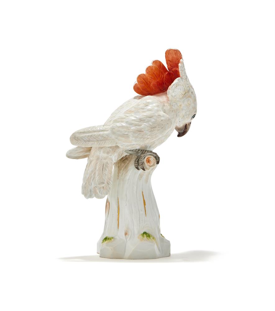 MEISSEN, A MODEL OF A COCKATOO PERCHED ON A STUMP - Image 3 of 4