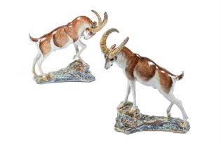 A PAIR OF ANNE GORDON (1924-2007) GLAZED RED-POTTERY MODELS OF IBEX, DATED 1978