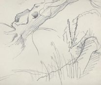 DORA CARRINGTON (BRITISH 1893-1932), STUDIES OF NATURAL FORMS