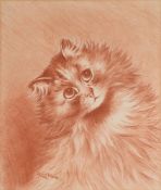 LOUIS WAIN (BRITISH 1860-1939), AN INQUISITIVE CAT