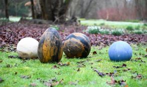 A GROUP OF FOUR POLISHED MINERAL AND PETRIFIED WOOD SPECIMENS