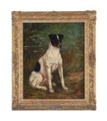 CHARLES E. GATEHOUSE (BRITISH 1866-1952), PORTRAIT OF A JACK RUSSELL