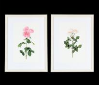 RUI JIANG (CHINESE B. 1981), ROSA DESDEMONA; ROSA PINK MARTINI (2)