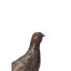 A VIENNA COLD PAINTED BRONZE PARTRIDGE BY FRANZ BERGMAN, AUSTRIAN - Image 3 of 4