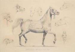 FRENCH SCHOOL (20TH CENTURY), WITHOUT A HORSE A MAN IS NOTHING