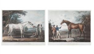 R. DODD, AFTER JOHN NOST SARTORIUS, ESCAPE; GREY DIOMED (2)