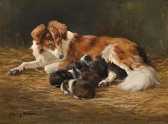 JOHN MURRAY THOMSON (BRITISH 1885-1974), A MOTHER AND PUPS