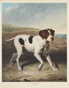 CHARLES TURNER (BRITISH 1773-1857), AFTER J. S. COOPER, SHOT