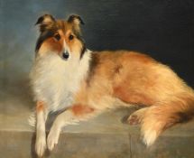 LILLIAN CHEVIOT (BRITISH CIRCA 1876-1936), A COLLIE LYING ON A STONE WALL