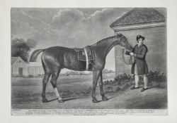 AFTER GEORGE STUBBS, ECLIPSE