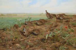 GEORGE EDWARD LODGE (BRITISH 1860-1954), PARTRIDGES IN A TURNIP FIELD