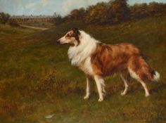MAUD EARL (BRITISH 1863-1943), A COLLIE STANDING IN A LANDSCAPE WITH A COUNTRY HOUSE BEYOND