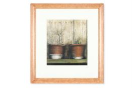 λ ANDREW HEMINGWAY (BRITISH B. 1955), TWO PLANT POTS