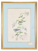 λ SALVADOR DALI (SPANISH 1904-1989), FIORDALI LYS (LILIUM MUSICUM): FRANZ LISZT PLAYING THE PIANO