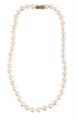 A CULTURED PEARL NECKLACE