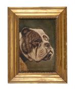 20TH CENTURY SCHOOL, HEAD OF A BULLDOG