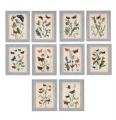 JOHN OBADIAH WESTOOD (BRITISH 1805-1893), THE BUTTERFLIES AND MOTHS OF GREAT BRITAIN