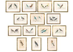 FULLERTON, AFTER OLIVER GOLDSMITH- A GROUP OF FOURTEEN FRAMED BIRD PRINTS