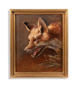 ATTRIBUTED TO ROSA BONHEUR (FRENCH 1822-1942), STUDY OF A FOX'S HEAD