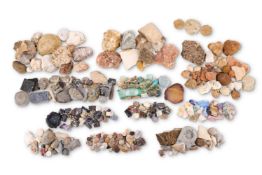 Y A LARGE COLLECTION OF MINERALS AND FOSSILS