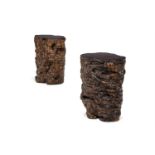 TWO CAMPHOR WOOD ROOT SECTIONS